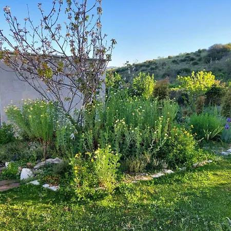 Quinta Treewindbee Villa Alenquer Exterior photo
