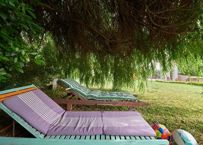 Quinta Treewindbee
