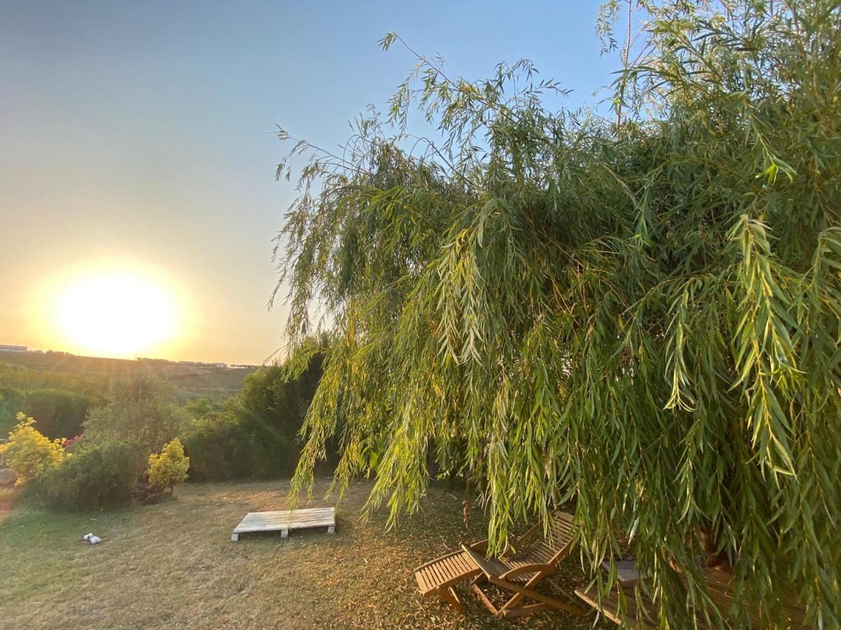 Quinta Treewindbee Holiday home Alenquer