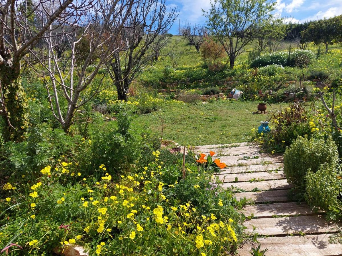 Quinta Treewindbee Holiday home *