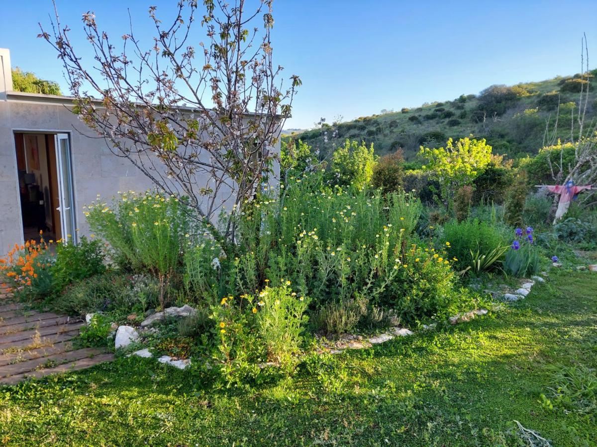 Quinta Treewindbee Holiday home