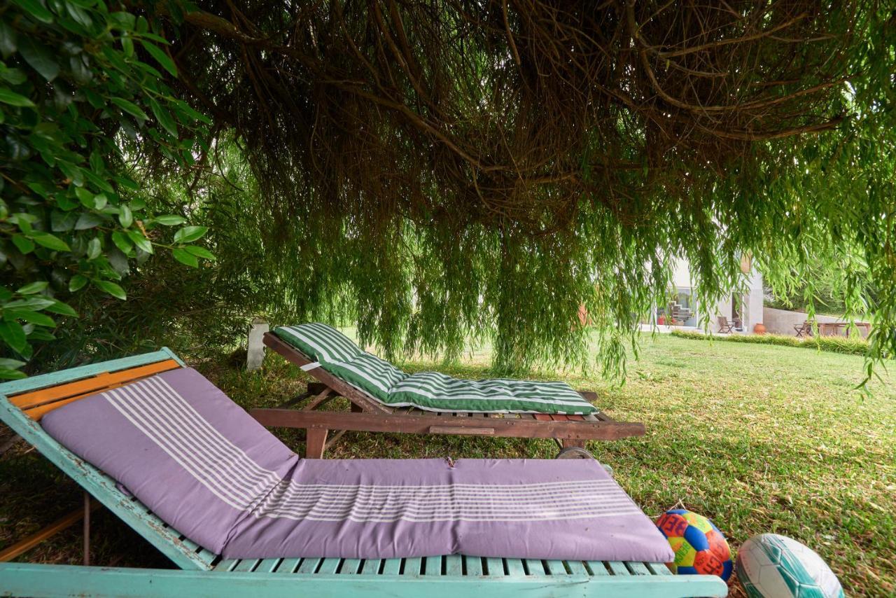 Quinta Treewindbee *