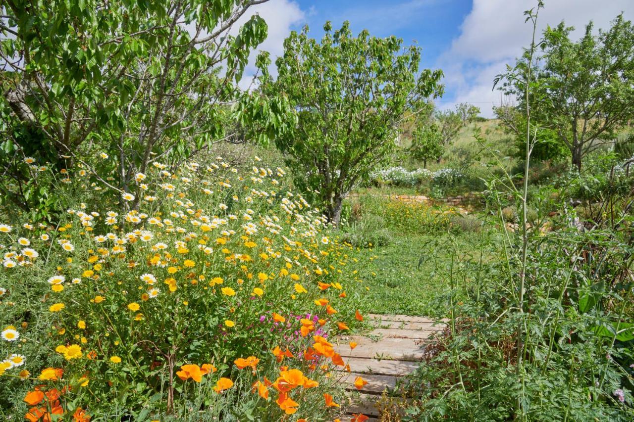 Quinta Treewindbee Vakantiehuis